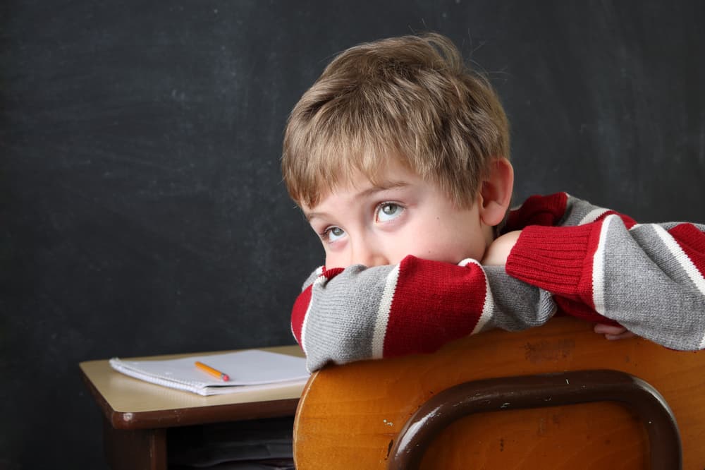 Consultant reviewing information for a child ADHD assessment